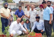 आरडीसीए ने महा वन महोत्सव वृक्षारोपण अभियान रखा जारी, केमिस्ट एसोसिएशन की विशेष पहल