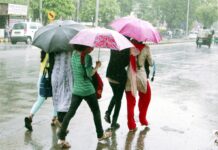 पंजाब और हरियाणा में भारी बारिश का कहर जारी, अलर्ट जारी