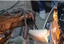 बड़ी खबर : महिला कार चालक ने अड्डा होशियारपुर के पास रेहड़ी वाले पर चढ़ा दी कार, गाड़ी पर लगा था डॉक्टर और AGI का स्टीकर