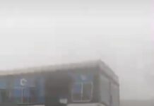 बड़ी खबर: जालंधर में धुंध के कारण ट्रक-Bus और कार आपस में टकराई, स्कूल बस की टक्कर के बाद सहमे बच्चे, बाल-बाल बचे