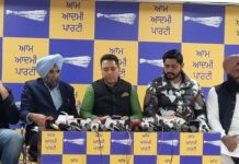 पंजाब नगर निकाय चुनाव : आम आदमी पार्टी ने 784 उम्मीदवारों की पहली सूची की जारी, लुधियाना और पटियाला नगर निगम के लिए भी घोषित किए उम्मीदवार