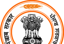 बड़ी खबर: पंजाब पुलिस ने राज्य भर में 1274 इमिग्रेशन फर्मों पर छापे मारे; 24 एफआईआर दर्ज, 7 गिरफ्तार… मुख्यमंत्री मान के निर्देशों पर कार्रवाई