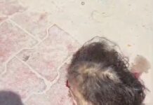 अहमदाबाद प्लेन क्रैश में राजपुरा की बहू अंजू शर्मा की मौत, गांव में पसरा मातम; अंतिम रील बनी आखिरी याद