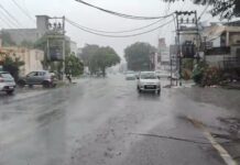 पंजाब में बारिश का यलो अलर्ट: अगले 3 दिन गरज-चमक के साथ बौछारें