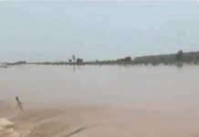 पंजाब में बाढ़ से हाहाकार: सतलुज और रावी उफान पर, 6 जिले पानी में डूबे; 4 जिलों में येलो अलर्ट, खालसा एड राहत कार्य में जुटी