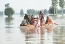 पंजाब में बाढ़ की वजह से 29 से ज्यादा लोगों की मौत, लापता की जानकारी जुटा रहे: हरपाल सिंह चीमा