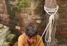 जालंधर में 4 वर्षीय मासूम से गलत हरकत के आरोप में प्रवासी युवक की महिलाओं ने की छित्तर परेड, पेड़ से बांधा