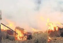 जालंधर की हवा ‘बेहद खराब’: सिर्फ 16 पराली जलाने के केस, फिर भी शहर में सांस लेना मुश्किल, पड़ोसी जिले के ये हैं हालात!