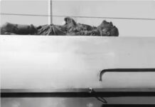 फिल्लौर रेलवे स्टेशन पर दर्दनाक हादसा: ट्रेन की छत पर चढ़ा व्यक्ति हाईटेंशन तार की चपेट में आया, जिंदा जला, हालत नाज़ुक, जालंधर रेफर