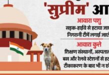 SC: का आदेश : ‘आवारा पशुओं को सड़कों, हाईवे से हटाएं’, राज्यों-NHAI और नगरपालिकाओं को जिम्मेदारी उठानी होगी