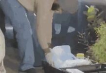 लुधियाना में एनकाउंटर: PAK मॉड्यूल के 2 आतंकी काबू, बड़ा हमला टला