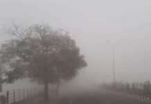 पंजाब में ठंड चरम पर: 8 जिलों में शीत लहर अलर्ट, फरीदकोट सबसे ठंडा