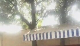 जालंधर में बड़ा अलर्ट: केएमवी स्कूल को बम से उड़ाने की धमकी, प्रिंसिपल को ई-मेल, बच्चों की तुरंत छुट्टी