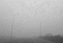 पंजाब में घना कोहरा: यलो अलर्ट जारी, हादसों का खतरा बढ़ा