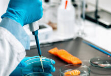 जालंधर में फूड सेफ्टी विभाग की सख्ती, बस स्टैंड के पास ढाबों पर औचक छापेमारी, राजू ढाबा के सैंपल भरे