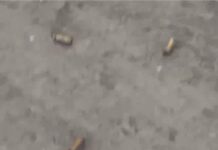 फगवाड़ा में सनसनी: मशहूर स्वीट शॉप पर 7 राउंड फायरिंग, रंगदारी मांगने की आशंका!