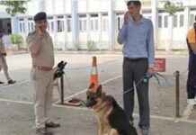 लुधियाना में बम धमकी से हड़कंप: तीन नामी स्कूलों को ई-मेल, पुलिस का सघन सर्च ऑपरेशन