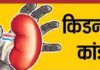 जालंधर किडनी केस में फिर हलचल: सेशन कोर्ट में ‘विटनेस विंडो’ खोलने की अपील, लाइसेंस पर उठे सवाल