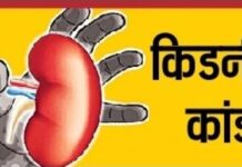 जालंधर किडनी केस में फिर हलचल: सेशन कोर्ट में ‘विटनेस विंडो’ खोलने की अपील, लाइसेंस पर उठे सवाल