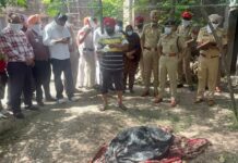 5 माह बाद खुला हत्या का राज: जालंधर देहात पुलिस ने घर से दफनाया शव बरामद कर आरोपी दबोचा