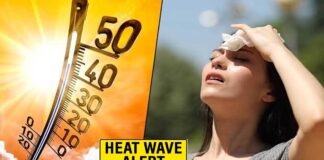 पंजाब में गर्मी का कहर: पारा 42.9°C पार, हीटवेव का यलो अलर्ट जारी; फरीदकोट सबसे गर्म