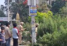 जालंधर में पंजाबी बाग में कूड़े के ढेर पर मिला नवजात का शव, इलाके में फैली सनसनी