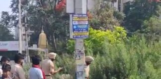जालंधर में पंजाबी बाग में कूड़े के ढेर पर मिला नवजात का शव, इलाके में फैली सनसनी