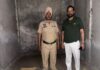 जालंधर में अवैध शराब तस्करों पर आबकारी विभाग का शिकंजा: गदाईपुर में रेड, 8 पेटियां शराब बरामद