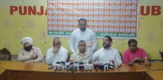 ख़ुद को सनातनी बोलने वाले दीपक बाली आप पार्टी नेताओ को 15 घंटे देर रात और कड़ी धूप मे प्रदर्शन करने वाले सनातनी नही दिखें-भाजपा