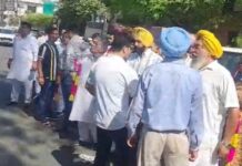 Punjab Nikay Chunav LIVE: अबोहर में AAP का दबदबा, भवानीगढ़ में कांग्रेस की शानदार जीत