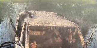 जालंधर में खौफनाक हादसा: चलती स्कॉर्पियो में लगी आग, ड्राइवर की जलकर मौत