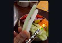 जालंधर की मशहूर ‘हवेली’ पर सवालों के घेरे में: सलाद में मिला जिंदा कीड़ा मिलने के आरोप, ग्राहक का VIDEO वायरल; हाइजीन पर उठे गंभीर सवाल
