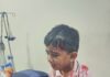 जालंधर में आवारा कुत्तों का कहर: स्कूल से लौट रहे मासूम और मां पर हमला, ठेकेदार को ब्लैकलिस्ट करने की तैयारी