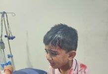 जालंधर में आवारा कुत्तों का कहर: स्कूल से लौट रहे मासूम और मां पर हमला, ठेकेदार को ब्लैकलिस्ट करने की तैयारी