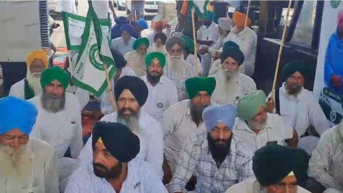 Screenshot_20260714_172434_Gallery