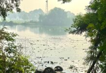 रायकोट-जगरांव रोड पर मौत का छप्पड़! तेज रफ्तार कार पानी में समाई, 3 की मौत; 2 युवक बाल-बाल बचे