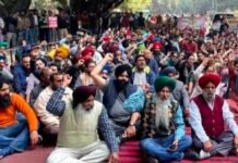 पंजाब में सामूहिक छुट्टी पर सरकारी कर्मी, मंत्री अमन अरोड़ा ने कहा- लोग परेशान हुए तो कार्रवाई होगी