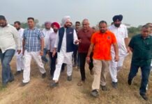 30 सितंबर को जालंधर में अमित शाह की नशा मुक्ति महारैली! परमिंदर सिंह बराड़ ने लिया तैयारियों का जायजा